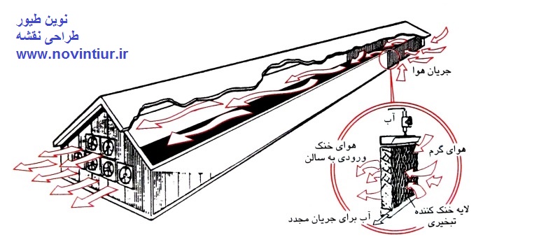 طراحی نقشه مرغداری نوین طیور